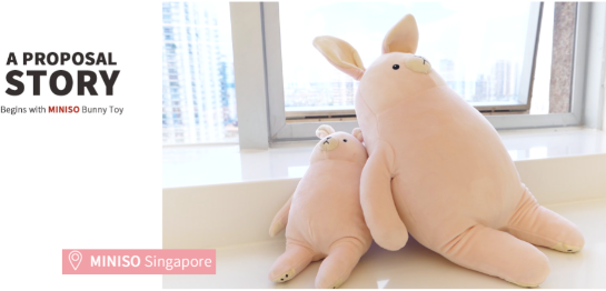 MINISO Creates Limited Release Plush Toy for Surprise Marriage Proposal